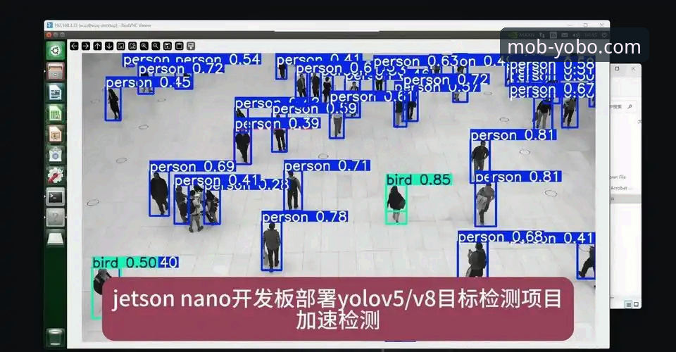 揭秘yobo手机官网：安全下载APP的完整指南与深度体验